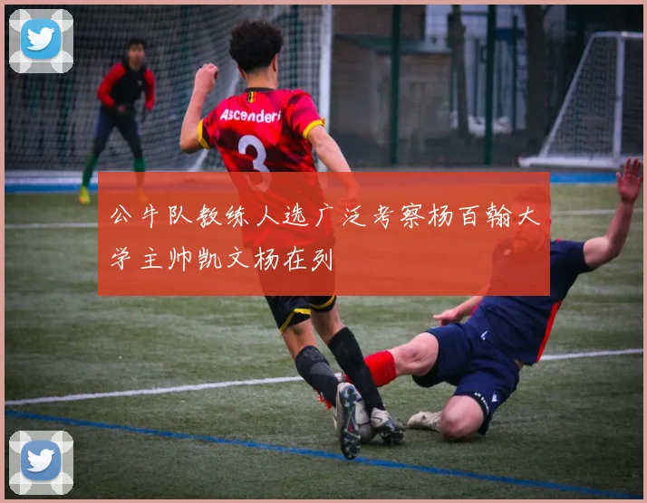 公牛队教练人选广泛考察杨百翰大学主帅凯文杨在列